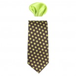 Cravata barbati cu batista - maro, verde, Gama - CRVT-GM-0021-Maro-Verde