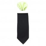 Cravata barbati cu batista - negru, verde, Gama - CRVT-GM-0003-Negru-Verde