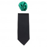 Cravata barbati cu batista - negru, verde, Gama - CRVT-GM-0009-Negru-Verde