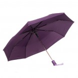 Umbrela de ploaie - purpuriu