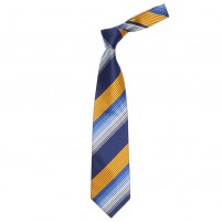 Cravata barbati lata albastru galben Barotti CRVT-BRT-0075-Albastru-Galben