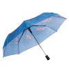 Umbrela de ploaie - albastru