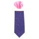 Cravata barbati cu batista bleumarin roz Gama CRVT-GM-0045-Bleumarin-Roz