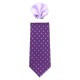 Cravata barbati cu batista mov Gama CRVT-GM-0001-Mov